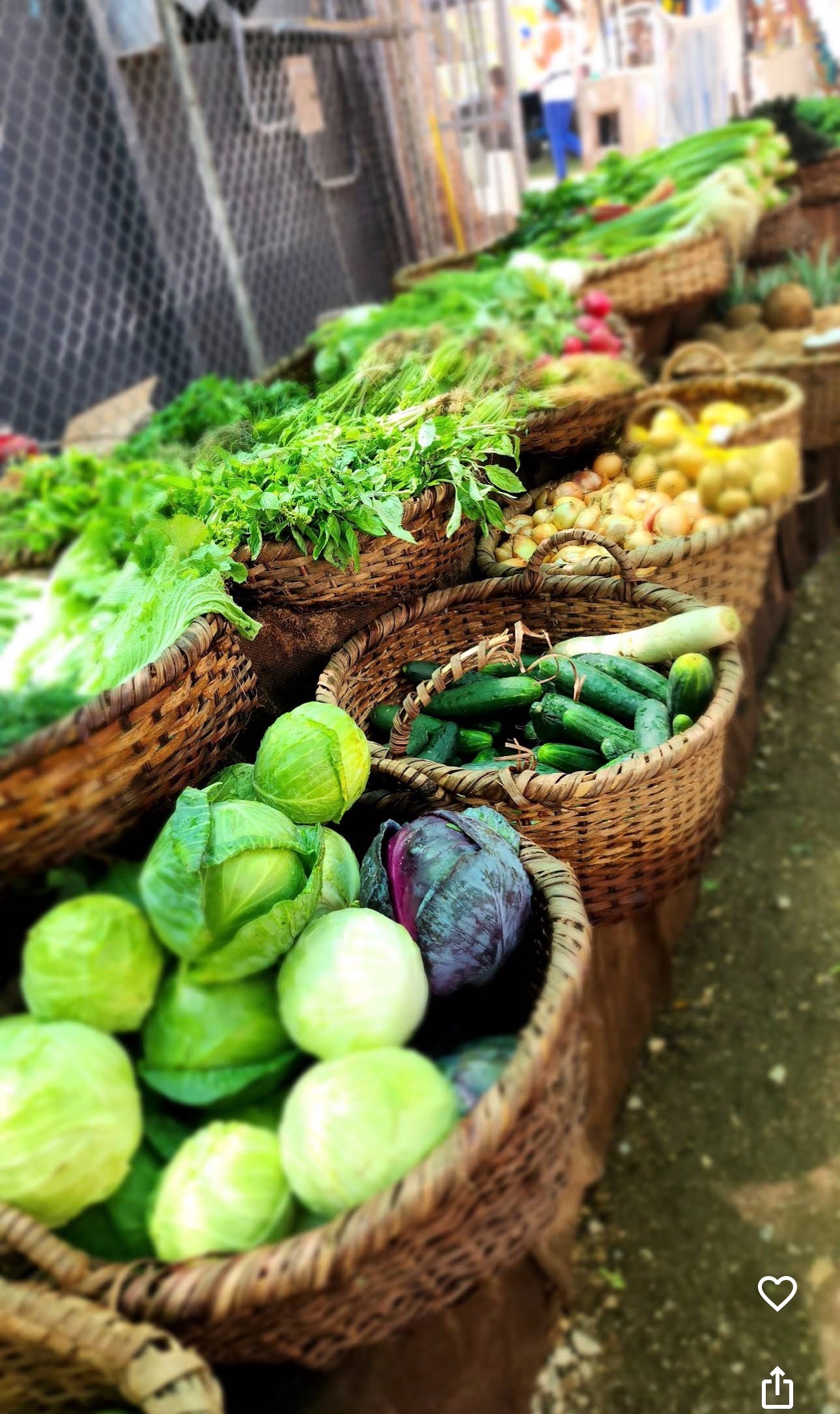 Farmers Market