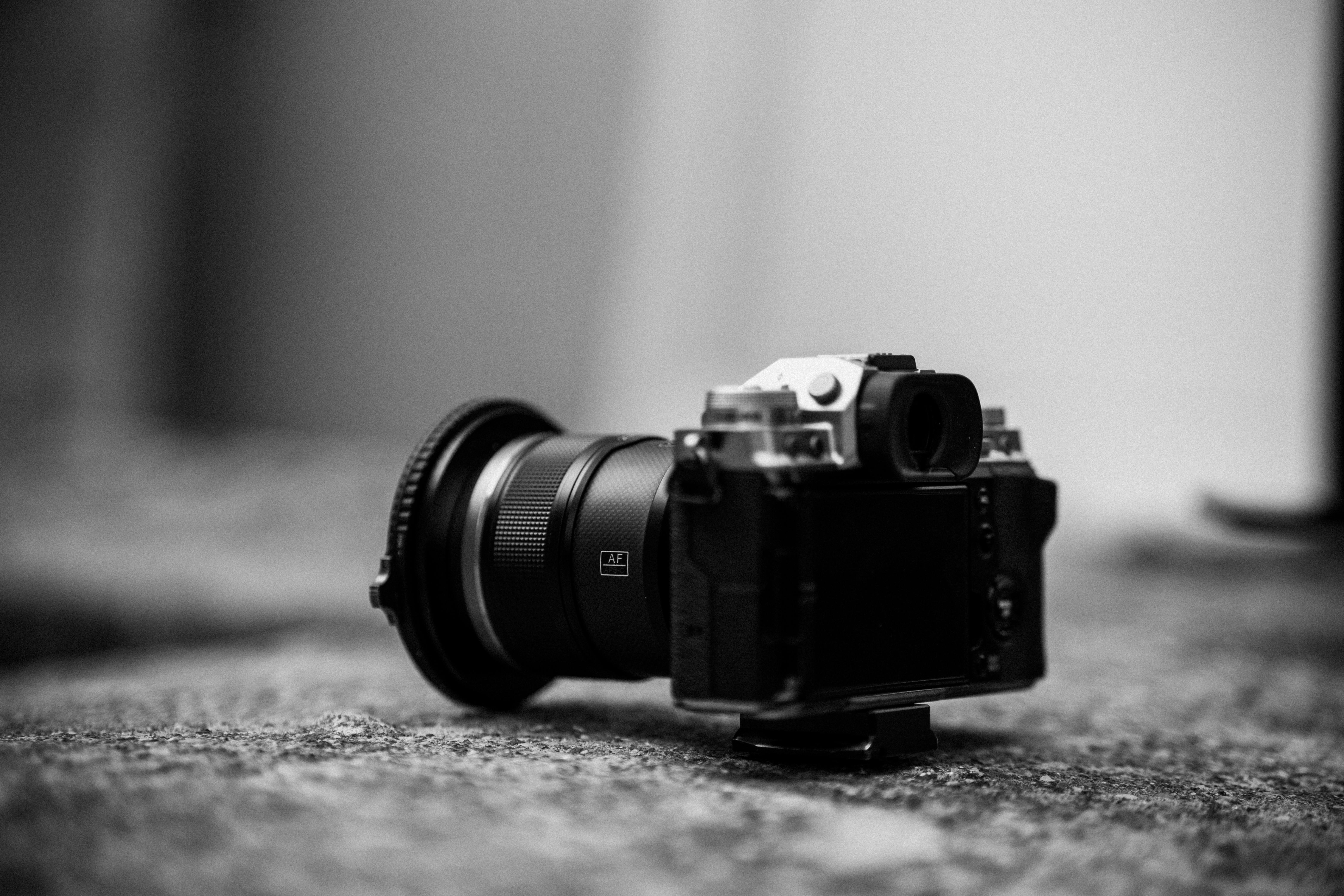 Professional Photographers